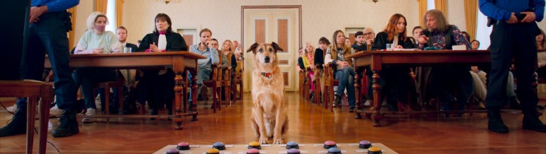 Le procès du chien