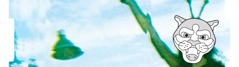 Schweizer Jugendfilmtage on tour: Best of 2018