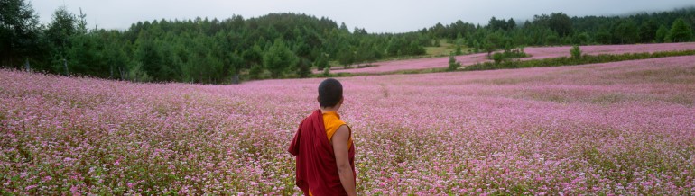The Monk and the Gun