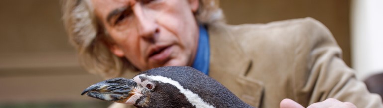 Filmnachmittag: Der Pinguin meines Lebens