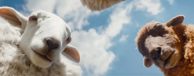 The Sheep Detectives